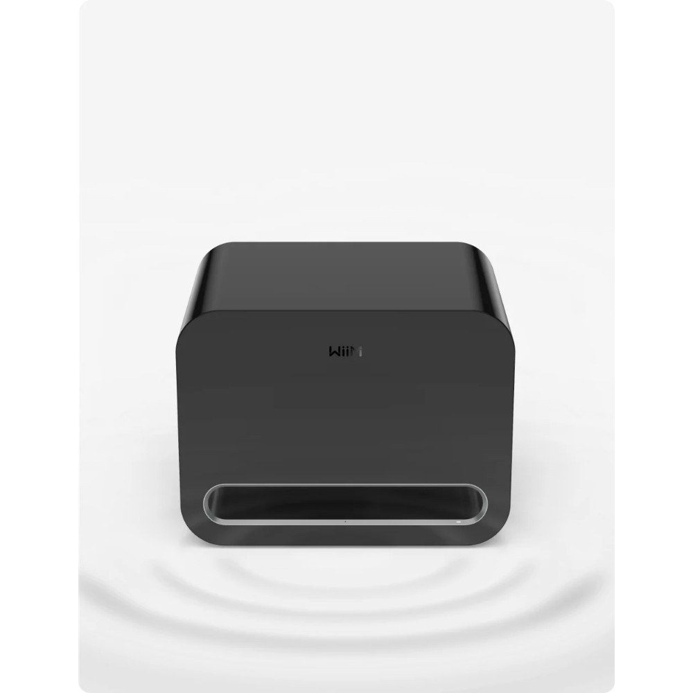 2-pak WiiM Sub Pro kompakt trådløs subwoofer, sort