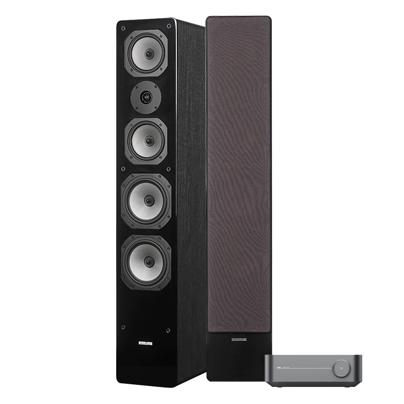 WiiM Amp & Dynavoice Challenger M-65, stereopakke